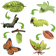 8Pcs Monarch Butterflies Life Cycle Toy Figurines For Kids With Actias N... - £15.97 GBP