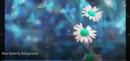 Blue Butterfly Background Moving MP4 Video - £0.98 GBP