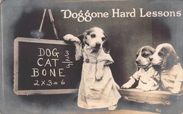 DOGGONE HARD LESSONS-DOG TEACHES PUPPIES THE BASICS~1910 REAL PHOTO POST... - £8.50 GBP