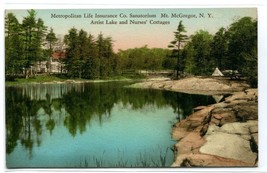 Nurses Cottages Lake Metropolitan Life Sanitorium Mt McGregor New York postcard - £5.52 GBP