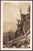 Eagle Lake, CA RPPC - Sawtooth Peak from Eagle Lake Trail Real Photo Postcard - £12.34 GBP