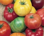 Rainbow Beefsteak Mix Tomato Seeds 50 Garden Vegetables Sauce Fast Shipping - $8.99