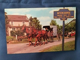 Amish Horse and Buggy Intercourse PA Postcard *Pre Owned/Collector* v1 - £7.85 GBP