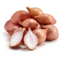 20 Ambition French Shallot Onion Seeds #1 From US - £6.70 GBP