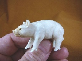 (PIG-1) little white baby Pig shed ANTLER figurine Bali detailed carving... - $70.11