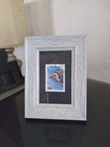 Tchotchke Framed Stamp Art - World Wildlife - Himalayan Vulture - $18.40 CAD