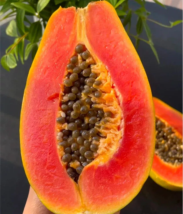 BPASTORE 50 Red Heart Creamy Papaya Seeds Online - $9.84