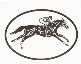 TB Race Horse Decal - Equine Discipline Oval Vinyl Black &amp; White Window ... - £3.12 GBP