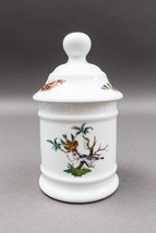 Ceralene A. Raynaud Limoges France Les Oiseaux Birds Apothecary Canister... - $149.99