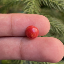 Natural Coral Gemstone, Round Shape Coral, Gift For Her, Jewelry Making ... - $9.99