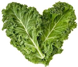 300 Seeds Dwarf Blue Curled Kale Non-Gmo - $10.00