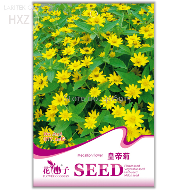 20 Seeds Melampodium Paludosum Flower Beautiful Ornamental Flowers Garden - $2.96
