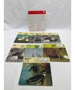 Lot Of (7) 1975 Rencontre Birds I Education Cards - $12.38