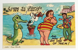 Came to Florida to See the Sights Greeting Alligator Curt Teich Postcard 1960 - $4.99