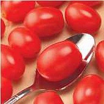 Cupid Tomato Seeds Fresh Seeds USA - $12.80