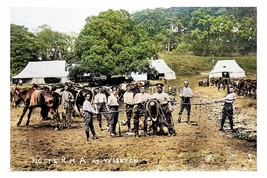 ptc1476 - Notts - Royal Horse &amp; Field Artillery at Wiseton in WW1 - prin... - $2.80