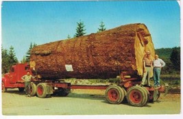 Oregon Washington Postcard Giant Fir Log Truck - £1.70 GBP