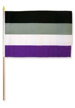 AES 12x18 12&quot;x18&quot; Wholesale Lot of 3 Gay Pride Asexual Stick Flag Wood Staff - £10.37 GBP