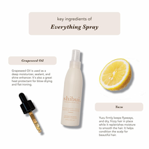 SHIBUI Everything Spray, Color Protecting Leave-in Treatment, 8 Oz.  image 3