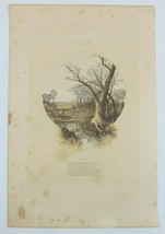 Antique 1870s Engraving Print The Aldine Farm &amp; Stream in Autumn Fall Trees Poem - £31.35 GBP