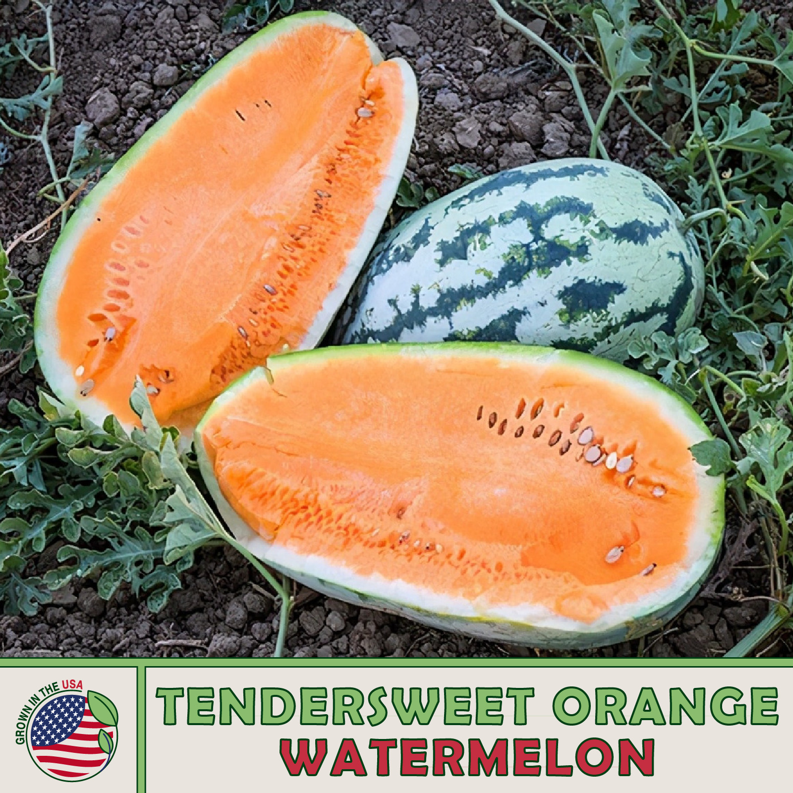 10 Tendersweet Orange Watermelon Seeds Fresh Seeds - $4.80