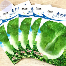 SL Italy Lettuce Organic Green Vegetable Seeds, 5 Packs, 80 Seeds/Pack, Der Sala - $5.52