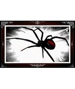 POWERFUL DARK ENERGY SPELL &quot;WEB OF OBSESSION&quot; TO TRAP YOUR LOVER RITUAL - €150,88 EUR