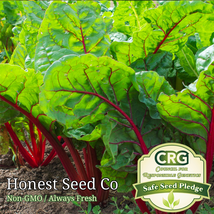 250 Seeds Red Swiss Chard Spinach - £9.56 GBP