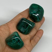 166g, 1.3&quot;-1.3&quot;, 3pcs, Natural Small Malachite Tumbled Polished, B32818 - $67.31