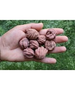 8pcs Mineral Desert Rose Selenite – Authentic Raw Sand Rose Crystals - €16,12 EUR