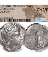 DEMETER/Grain Ear. Metapontum Lucania Greek Stater NGC Certified Choice ... - $12,255.34 MXN