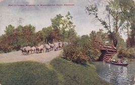Lawn Mowers Washington Park Chicago Illinois IL Postcard 1915 Flock Sheep - £2.34 GBP