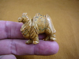 (Y-CAM-564) little tan CAMEL camels gemstone STONE carving FIGURINE drom... - $14.01