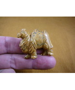 (Y-CAM-564) little tan CAMEL camels gemstone STONE carving FIGURINE drom... - $261.40 MXN