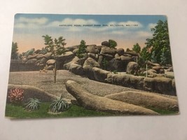 Vintage Postcard Posted 1939 Linen Antelope Pens  Forest Park Zoo St Louis MO - £1.86 GBP