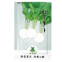 SL 800Pcs Small Fruit Radish Seeds | White Radishes Vegetable Seed - £2.15 GBP