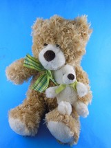 Family Christian Stores Teddy Bear Plush 13&quot;  Brown with Baby  Mary Meyers - £6.77 GBP
