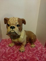 Bulldog Life Size 1975 Jim Dandy Ceramic Large  20l 14h 9w Has Damage Se... - $45.00