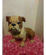 Bulldog Life Size 1975 Jim Dandy Ceramic Large  20l 14h 9w Has Damage Se... - $45.00