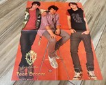 Jonas Brothers teen magazine poster clipping Teen Dream Tiger Beat Pop S... - $5.00