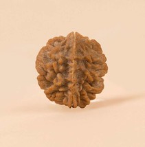 Isha Life Dwimukhi Rudraksha Consecrated Dhyanalinga Married Couples (Pa... - $34.16