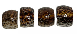 Shell Napkin Rings Natural Sea Shell Tiger Leopard Cowrie Napkin Lot Of 4 - £6.41 GBP