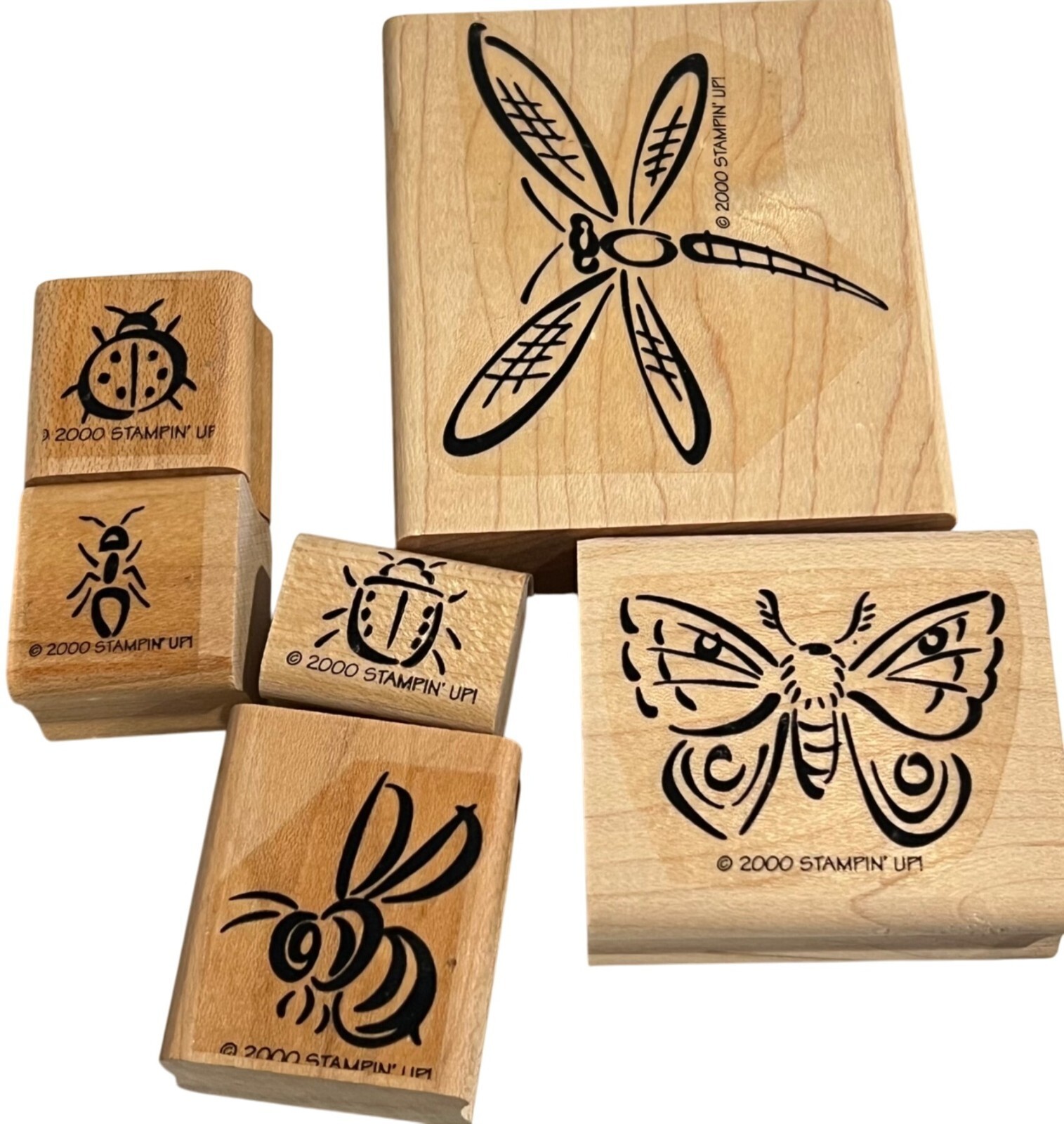 Stampin Up! Bunch O Bugs Rubber Stamp Set Of 5 Wood-Mounted Insects ...