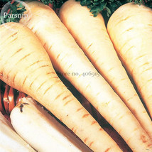 White Gem Parsnip Carrot Vegetables 100 Seeds Organic Edible Vegetables E3735 Ga - £5.89 GBP