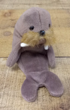 USED - TY Beanie Baby - JOLLY the Walrus (7 inch) - $7.99