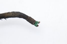 2004 FORD F-350 SD 6.0L POWERSTROKE DIESEL ENGINE WIRE HARNESS Q9986 image 3