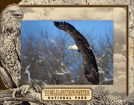 Yellowstone National Park With Bald Eagle Engraved Wood Picture Frame (3... - $484.05 MXN