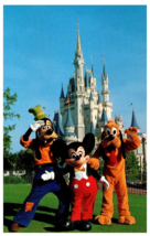 Mickey Mouse and his pals Goofy and Pluto Walt Disney World Florida Postcard - £8.72 GBP