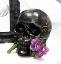 Paranormal Witch Romantic Lobotomy Brain Anatomy Skull With Purple Flower Statue - £23.17 GBP