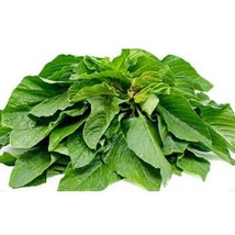 ENIL 500 Of Green Amaranth Seeds Chinese Spinach Yin Cho Green Edible Vegetable  - £2.56 GBP